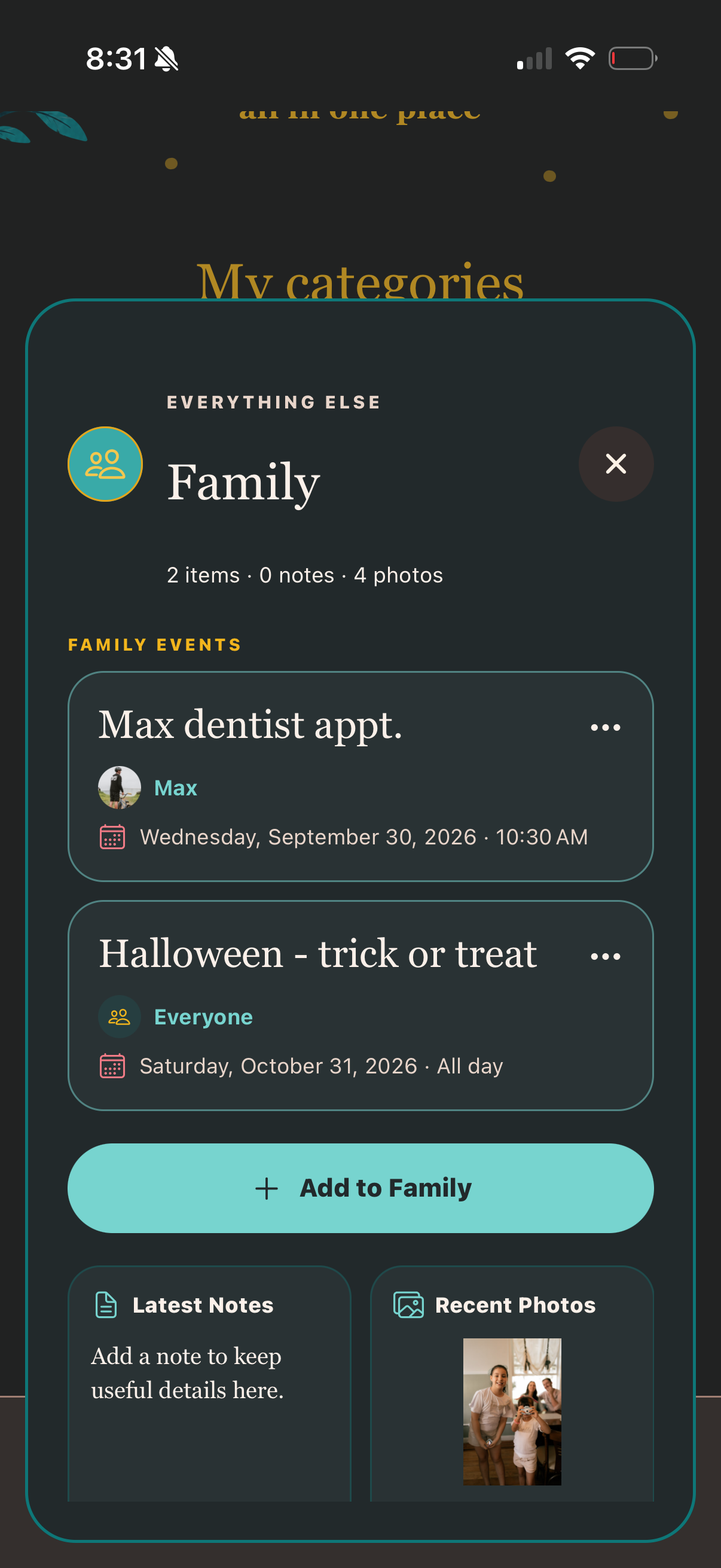 Everything Else Family category shown in dark mode